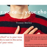 The VoiceeOver Network Your Voice Choice